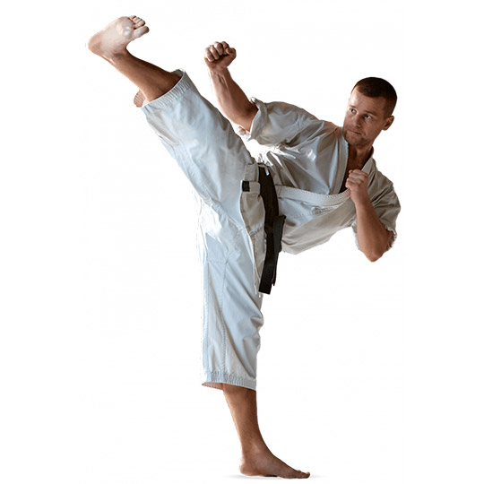 Main image of Klub Sztuk Walki Shogun