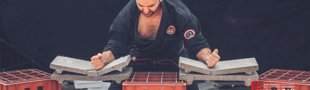 Main image of Kobra Kempo Klub