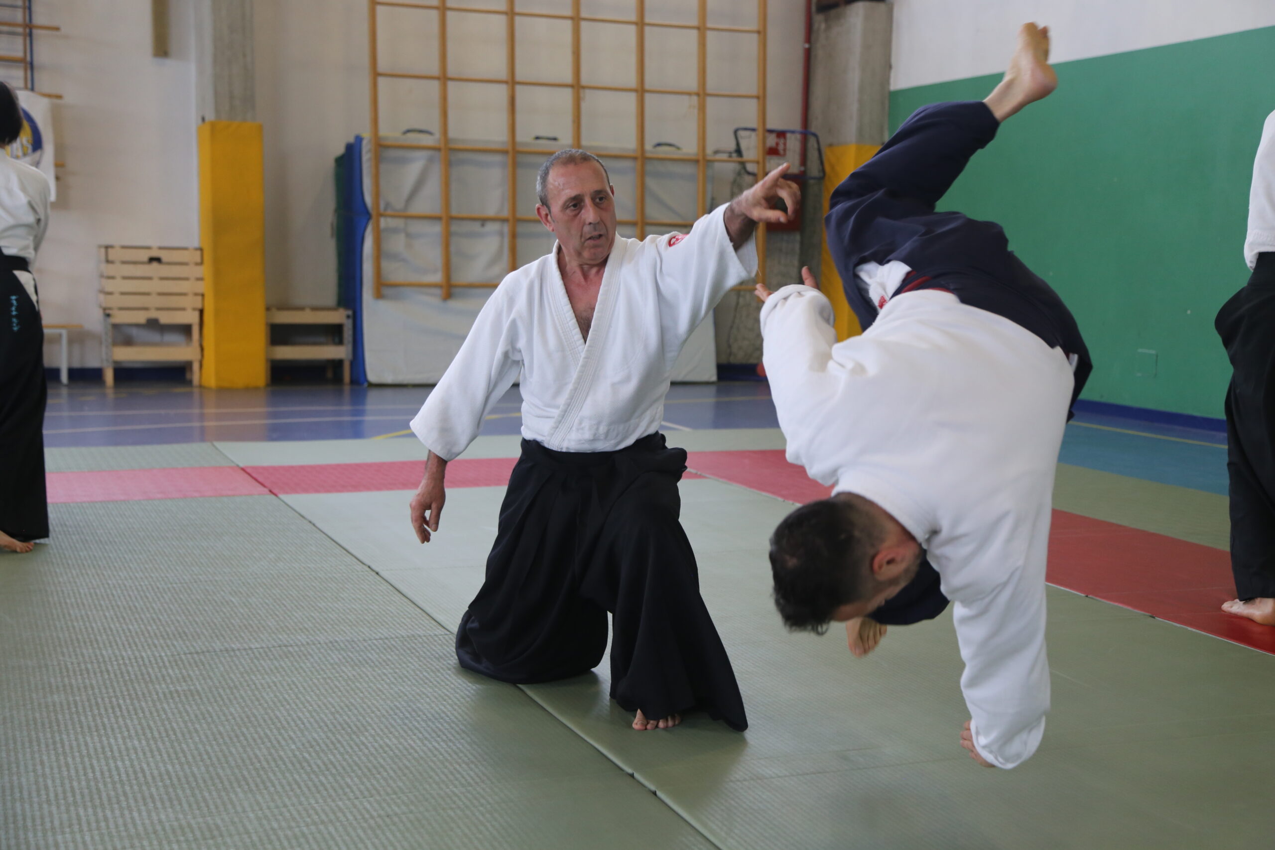 Main image of Kobudo Brianza A.S.D.