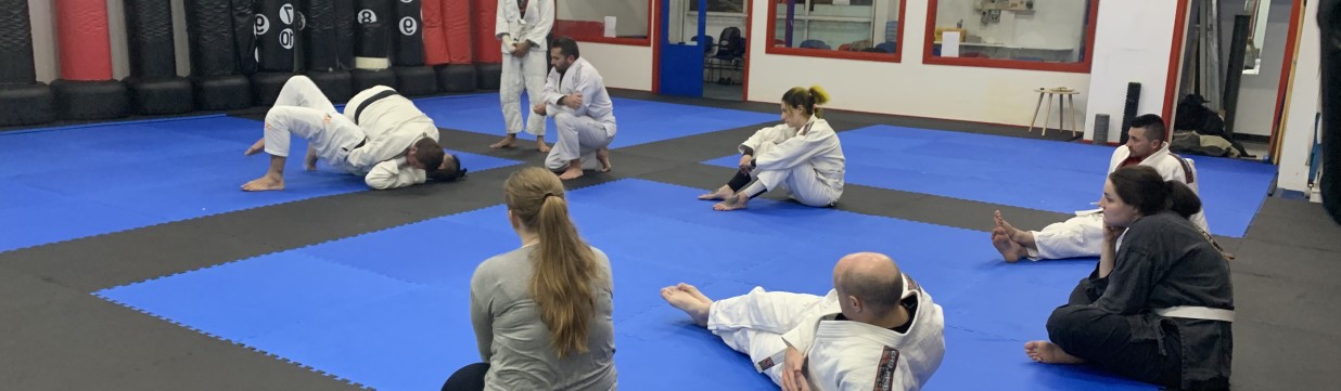 Main image of Kobura Martial Arts