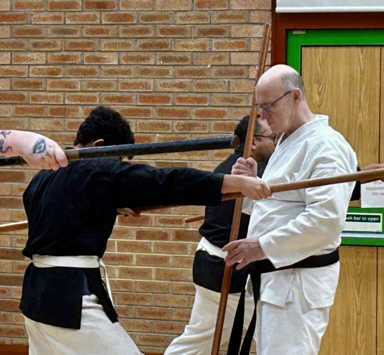 Main image of Kodokan Martial Arts