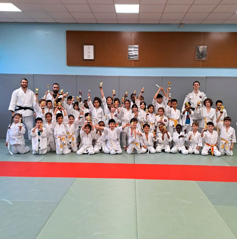 Main image of Kodokan paris 15 aikido