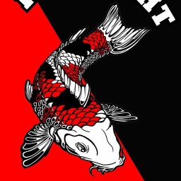 Main image of Koi fight team