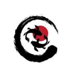 Main image of Koi team
