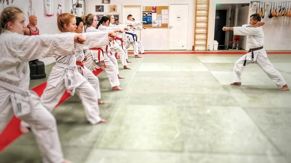 Main image of Kokkolan Karate