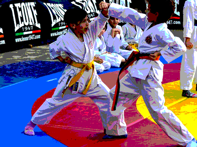 Main image of Kokoro Dai - Arti marziali e Sport da Combattimento