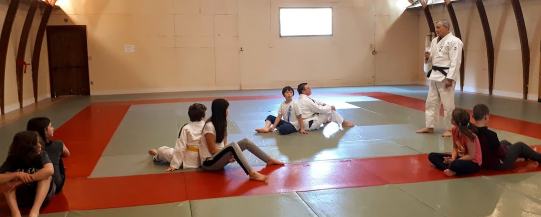 Main image of Kokushikai Judo