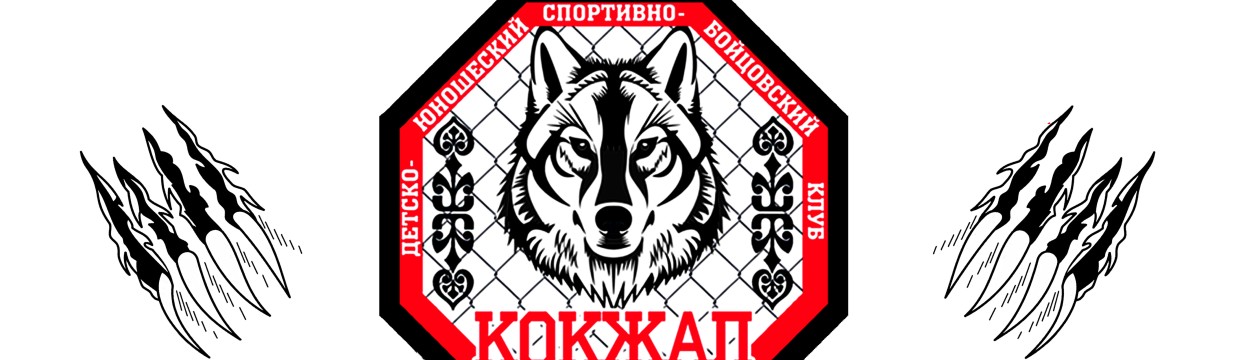 Main image of Kokzhal FC