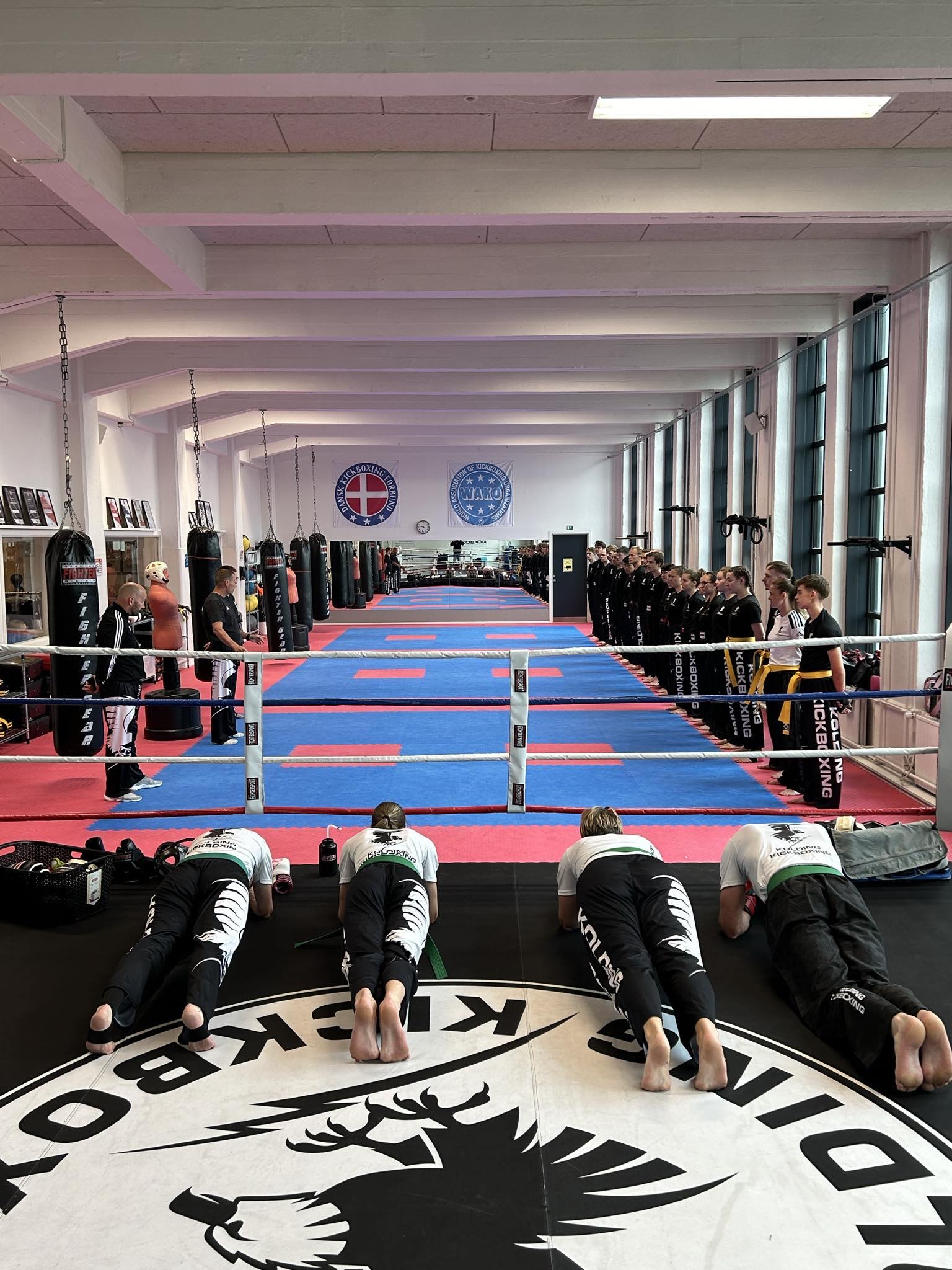 Main image of Kolding Kung Fu & Kickboxing