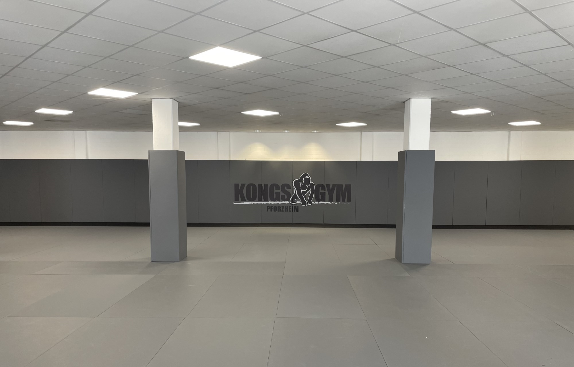 Main image of Kong's Gym