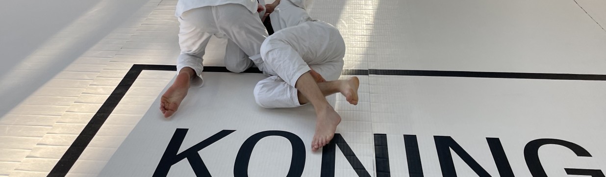 Main image of KONING BJJ