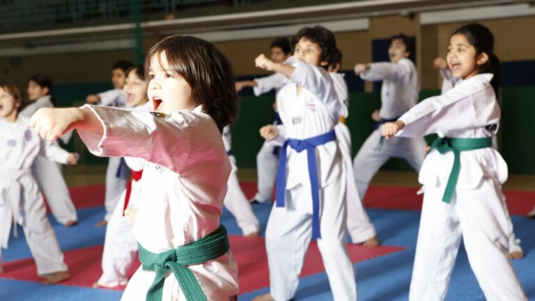 Main image of Koryo Taekwondo Academy London
