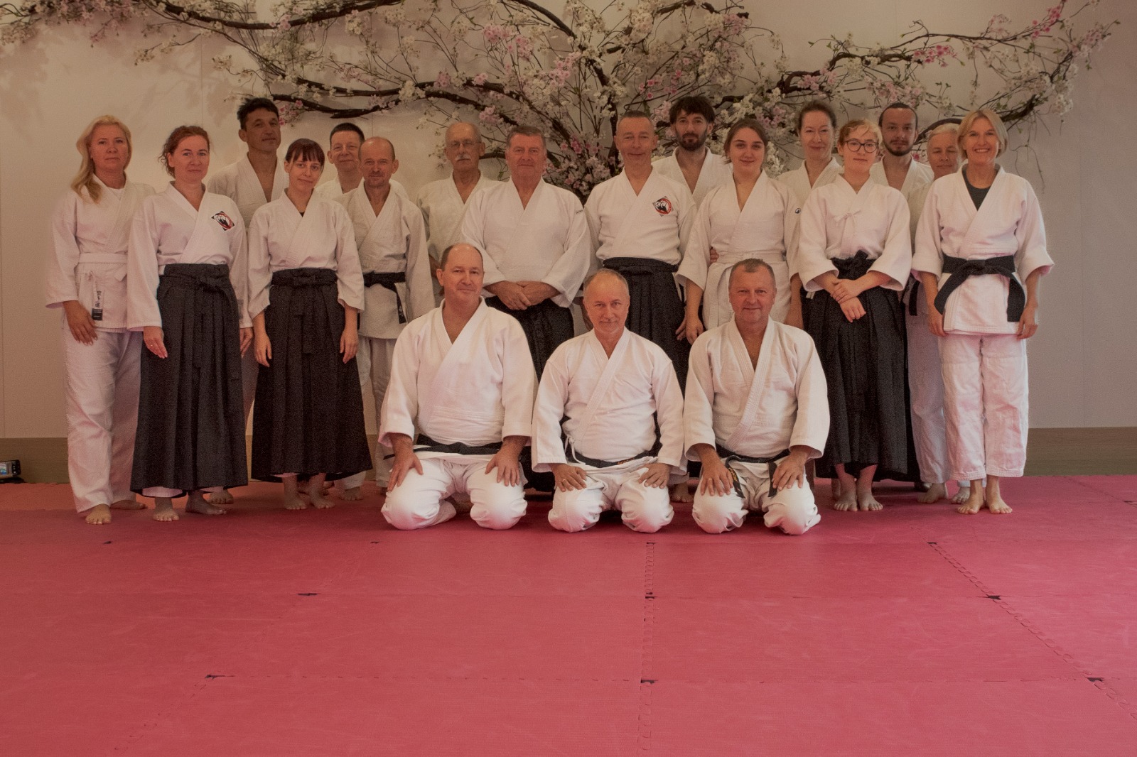 Main image of Krakow Association of Aikido