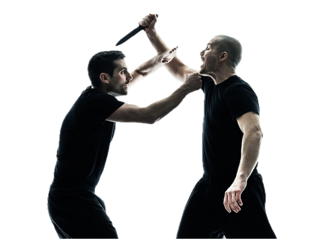 Main image of Krav Maga Force Colorado