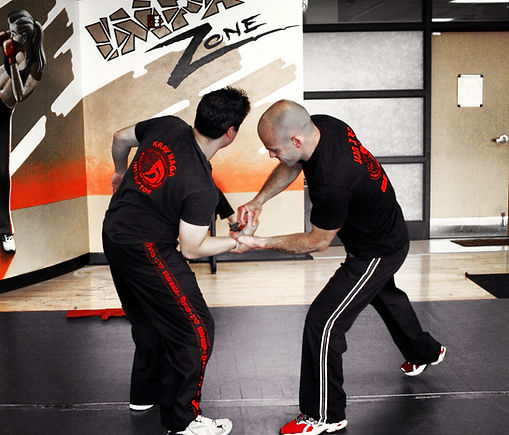 Main image of Krav Maga Gatineau