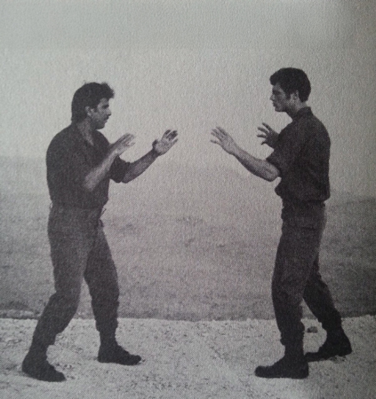 Main image of Krav Maga Online Brighton