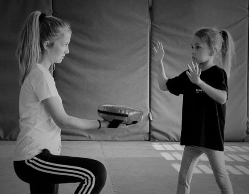 Main image of Krav Maga Systems