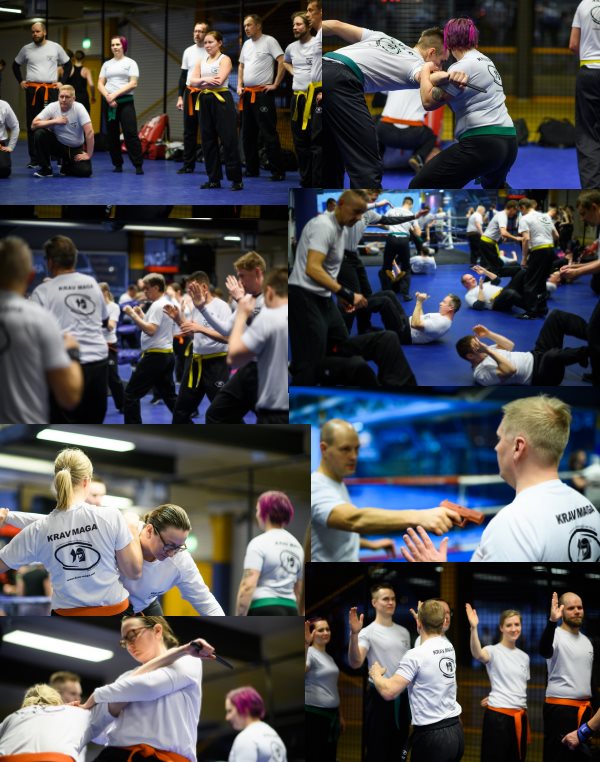 Main image of Krav Maga Tapiola