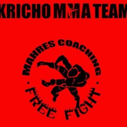 Main image of Kricho mma team