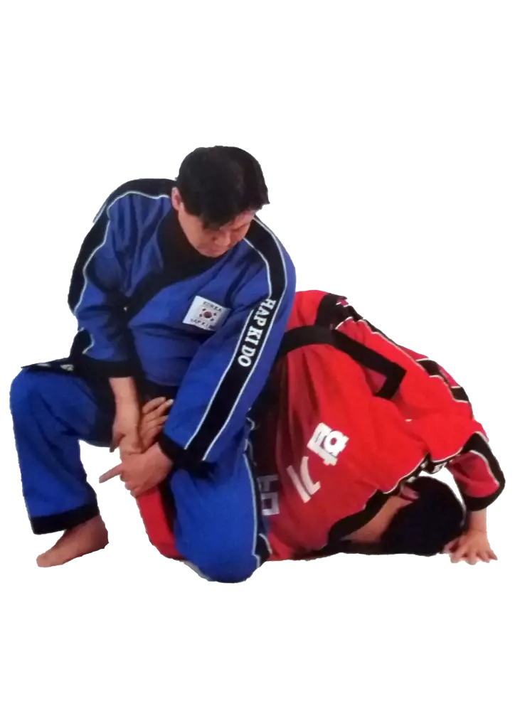 Main image of KT Martial Arts Academy