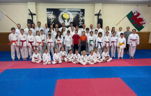 Main image of Kubotan Karate Kai