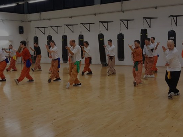 Main image of Kung-Fu Club Genova