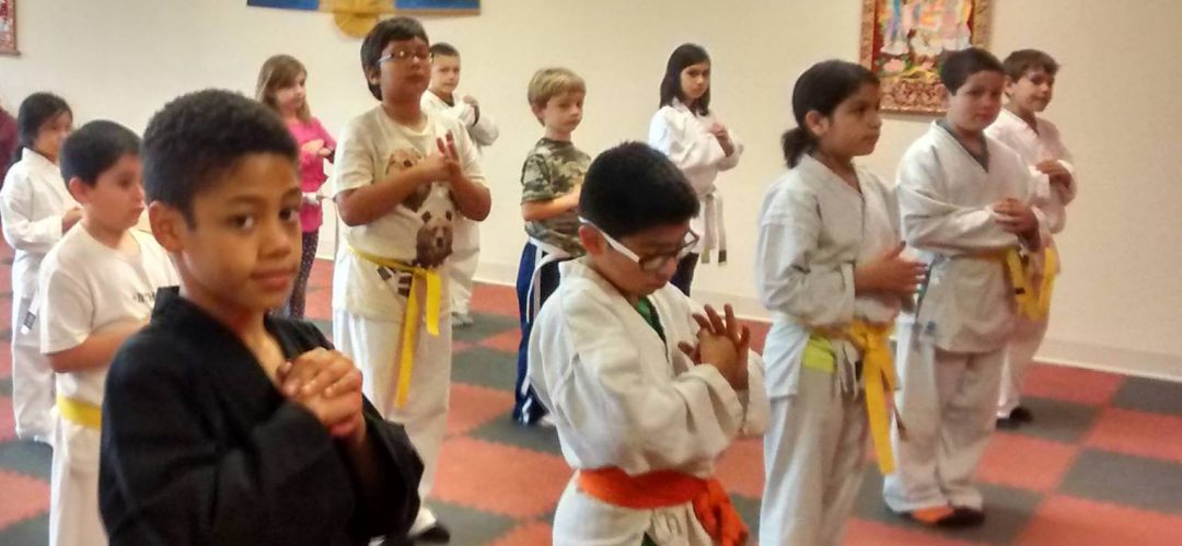Main image of Kung Fu Kyle Texas