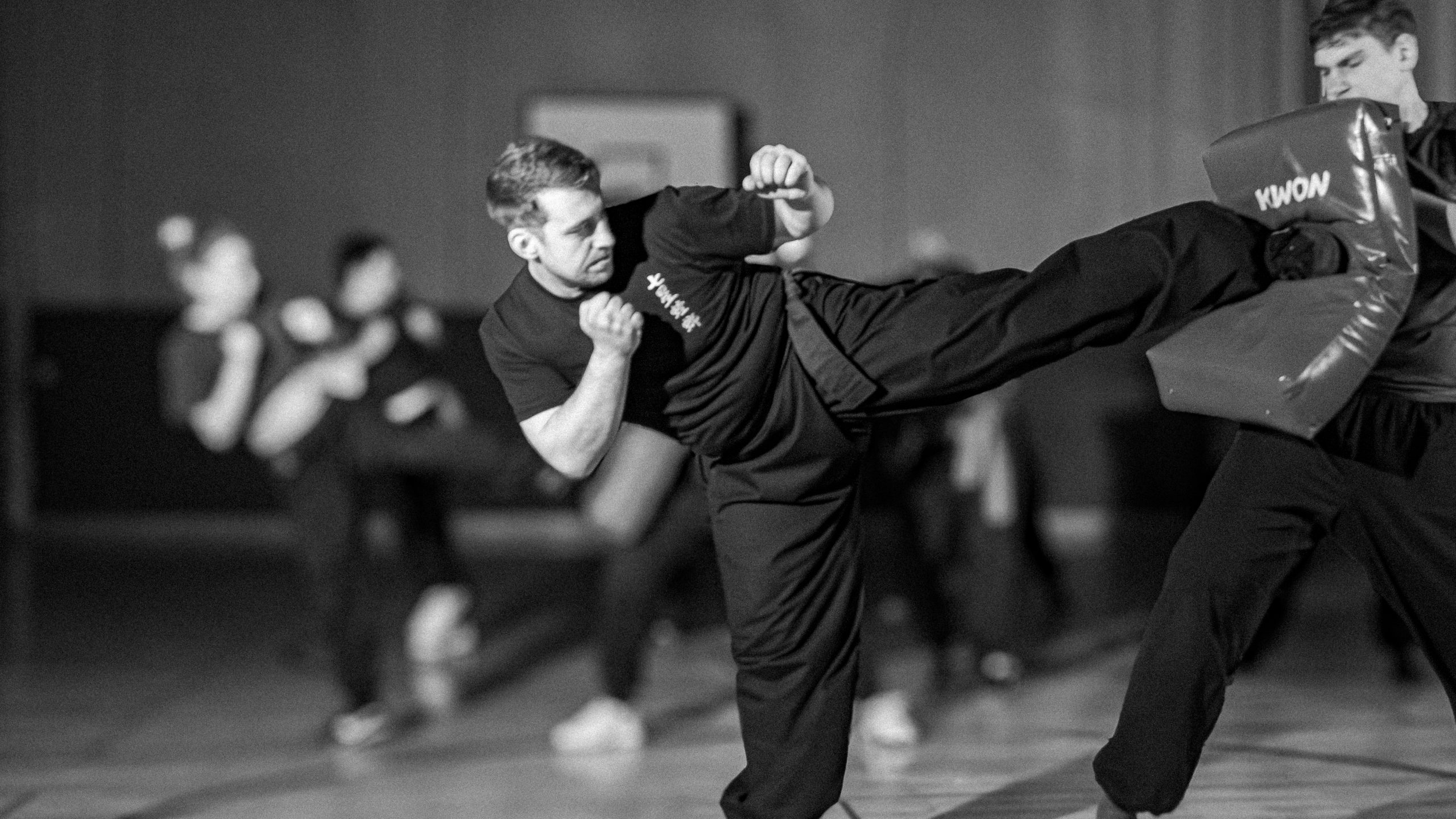 Main image of Kung Fu Münster