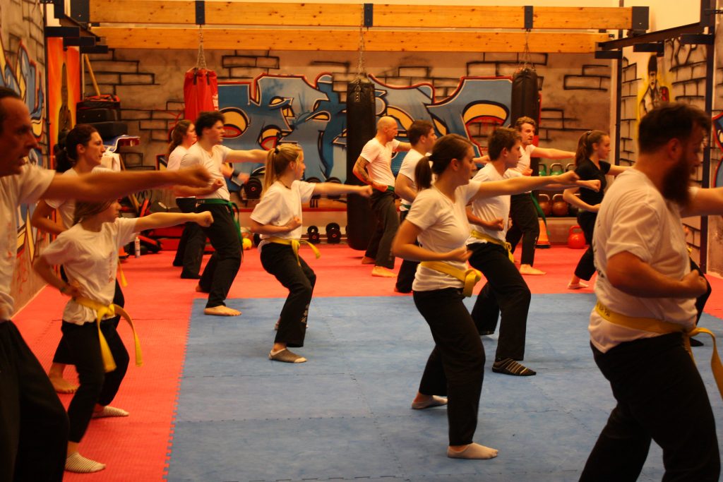 Main image of Kung Fu Nam Wah Pai