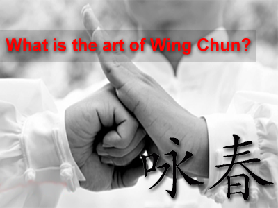 Main image of Kung Fu Vari