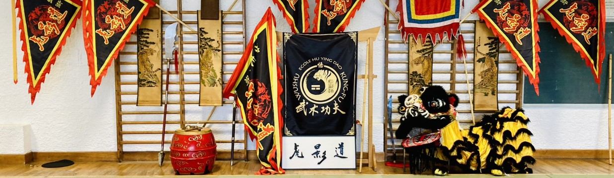 Main image of KUNG FU WUSHU HU YING DAO