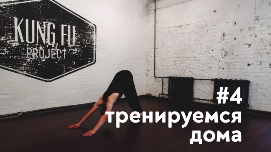 Main image of Kungfu Project