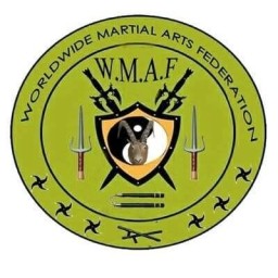 Main image of Kungfu Shaolin Academy of martial arts