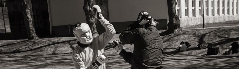 Main image of Kungfu Stockholm IF
