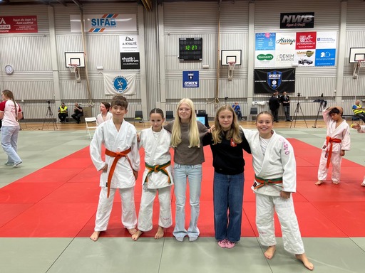 Main image of Kungsbacka Judoklubb