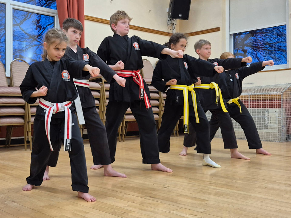 Main image of Kuroten Practical Karate