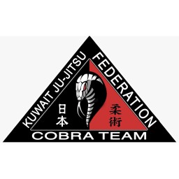 Main image of Kuwait cobra team