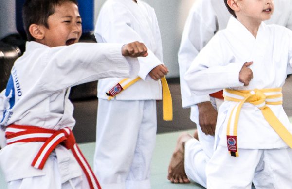 Main image of Kwons Wellness Martial Arts & Fitness