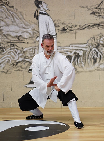 Main image of Kwoon Tao Toulouse - Arts Energétiques & Martiaux Chinois
