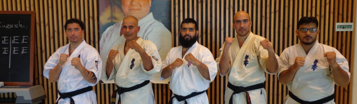 Main image of Kyokushin-Kan Organization Pakistan