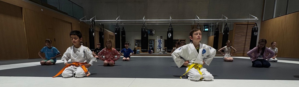 Main image of Kyokushin Karaté Club Genève