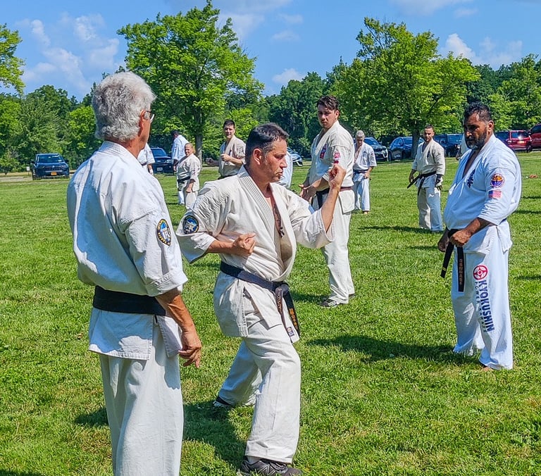 Main image of Kyokushin Karate USA