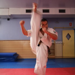 Main image of kyokushin Rufo