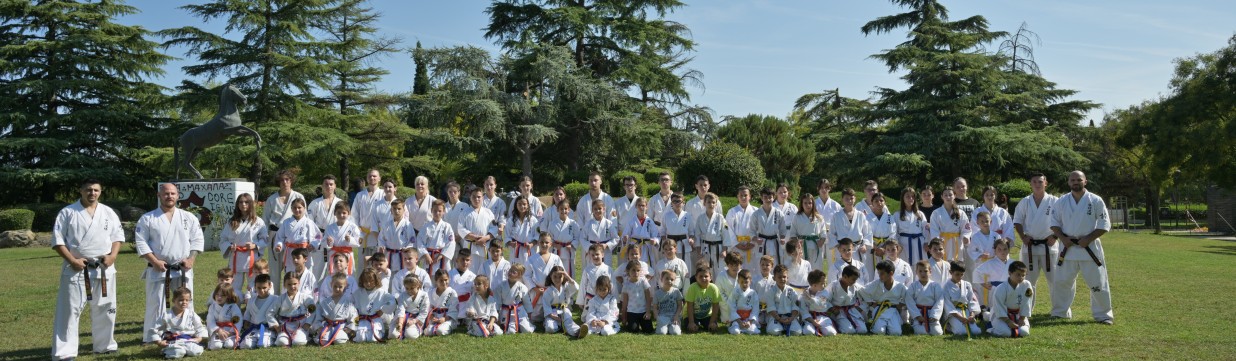 Main image of Kyokushin Seishin Dojo Larissa