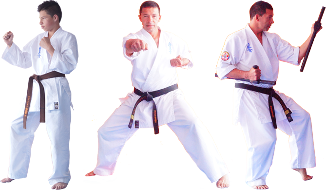 Main image of Kyokushin Union Colombia