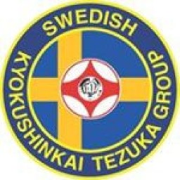 Main image of Kyokushinkai Jotso IF