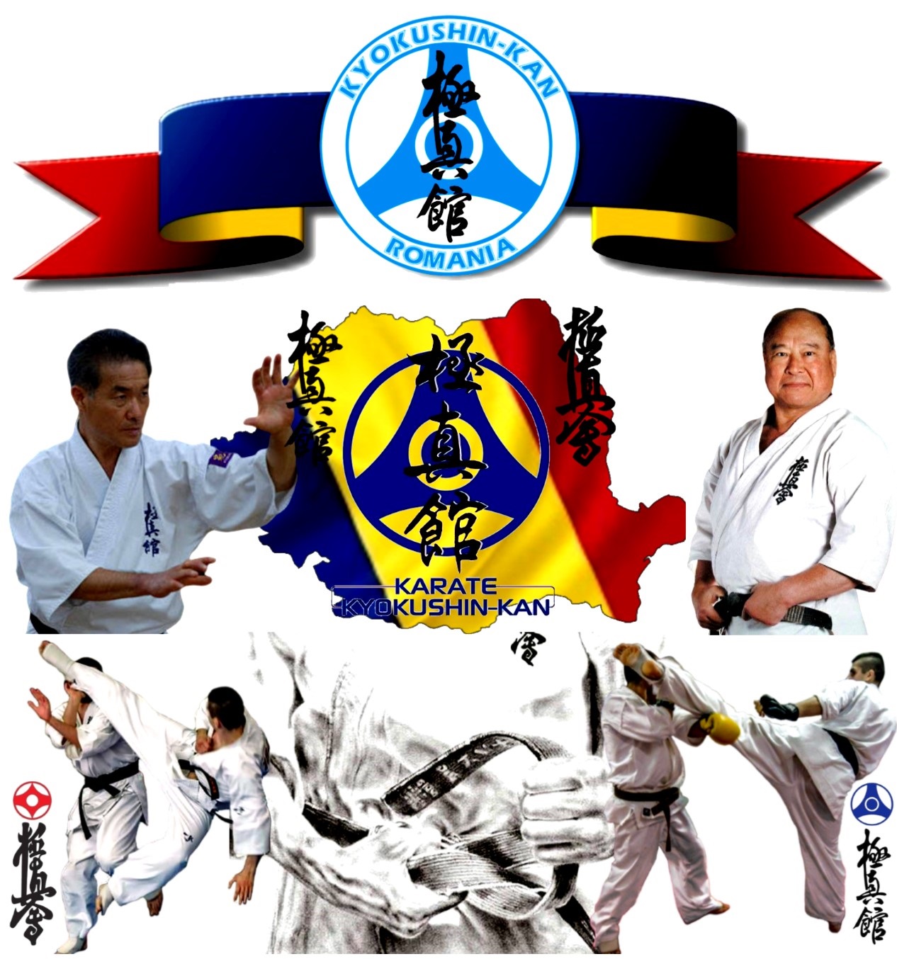Main image of Kyokushinkan Romania