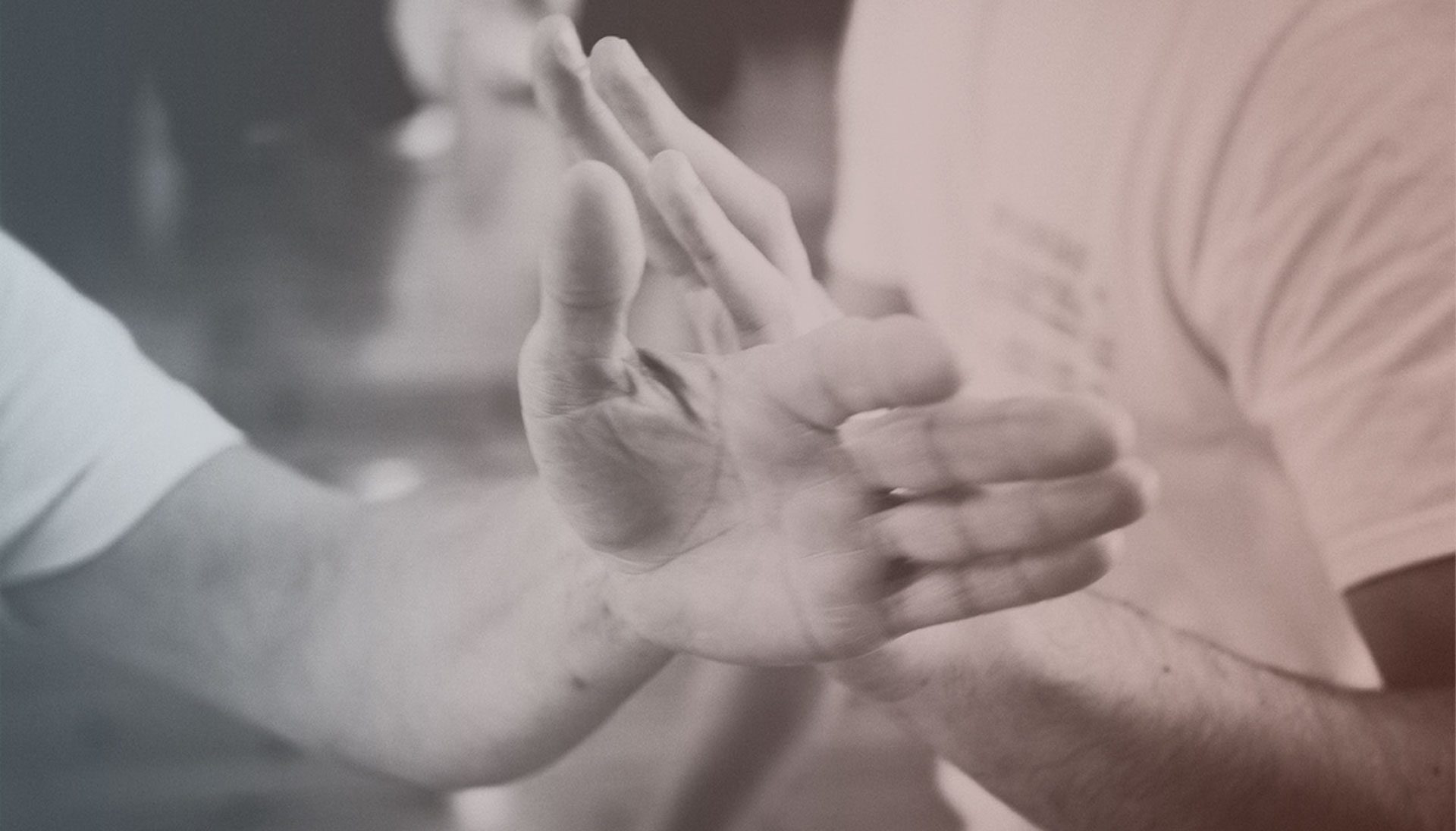 Main image of L’Armonia in Movimento ASD - Tai Chi Yang tradizionale