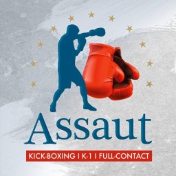 Main image of L'ASSAUT