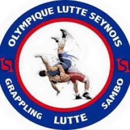 Main image of L’olympique Lutte Seynois